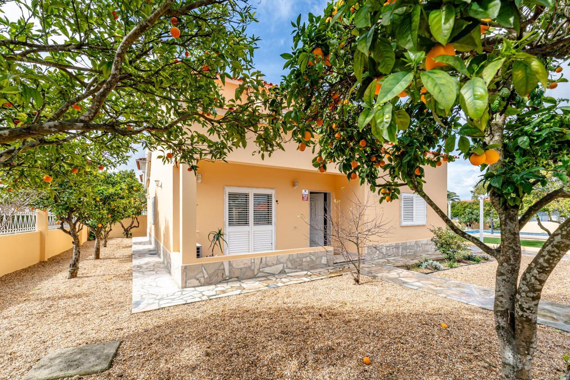 Laranja-limao - New Villa Azeitao