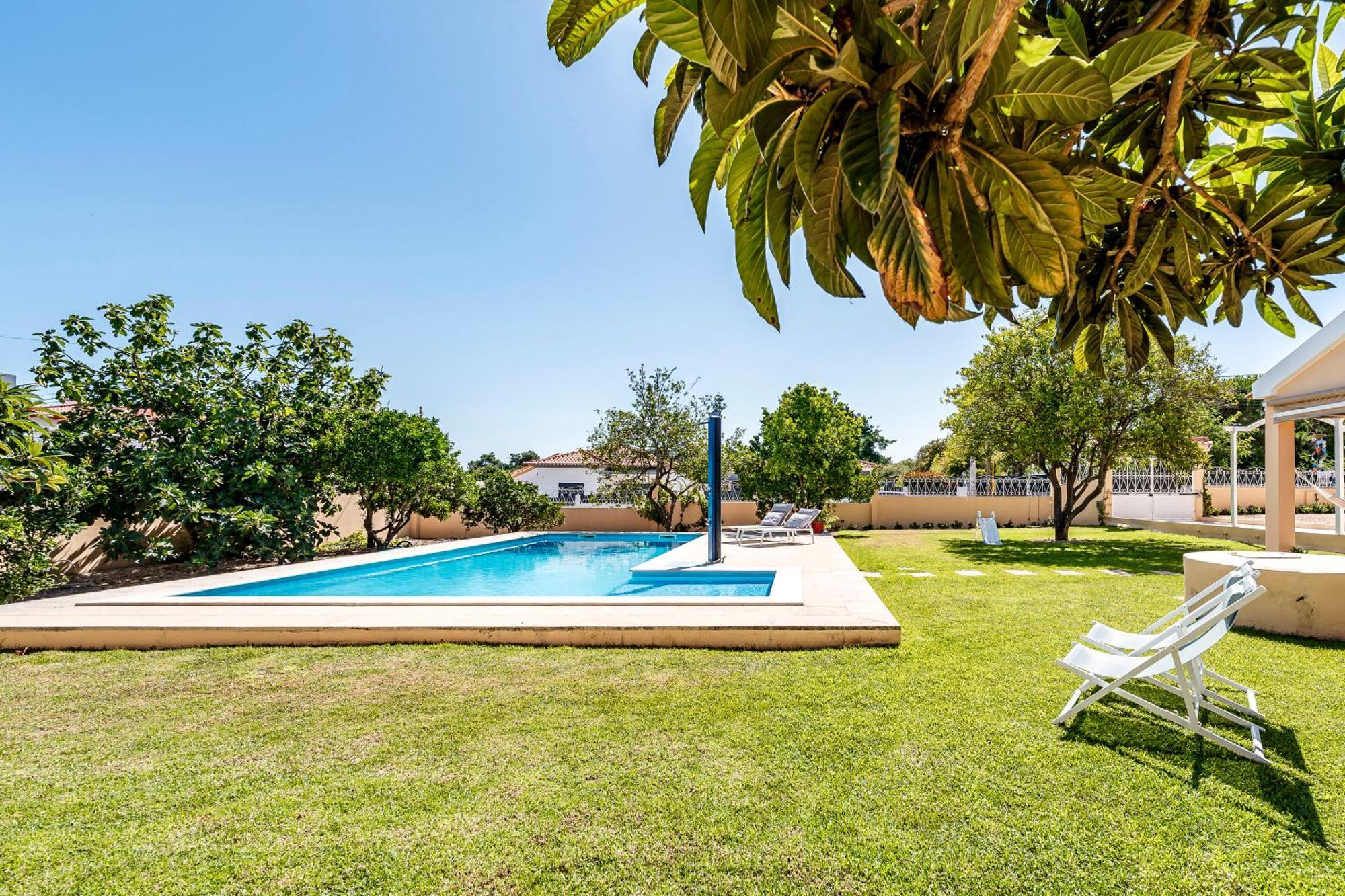 Laranja-limao - New Villa